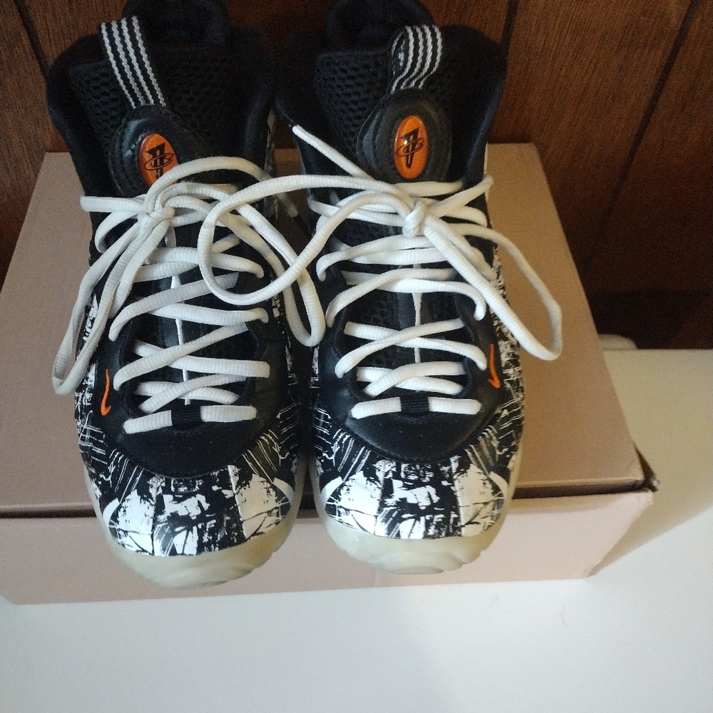 Foamposites - Picture 7 of 9